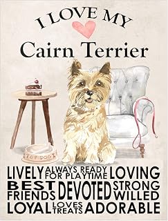 Cairn Terrier Metal Sign Dog Plaque Home Decor Bar Shed Garage Man Cave Poster Gift size 8x6in Ref 7767