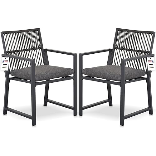 Patio Dining Chairs, Metal Outdoor Chairs with Removable Cushion, 105°