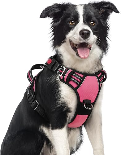 rabbitgoo Arnés para perro de tamaño mediano, arnés de chaleco para perro sin tirones con 3 hebillas, arnés ajustable y acolchado suave para
