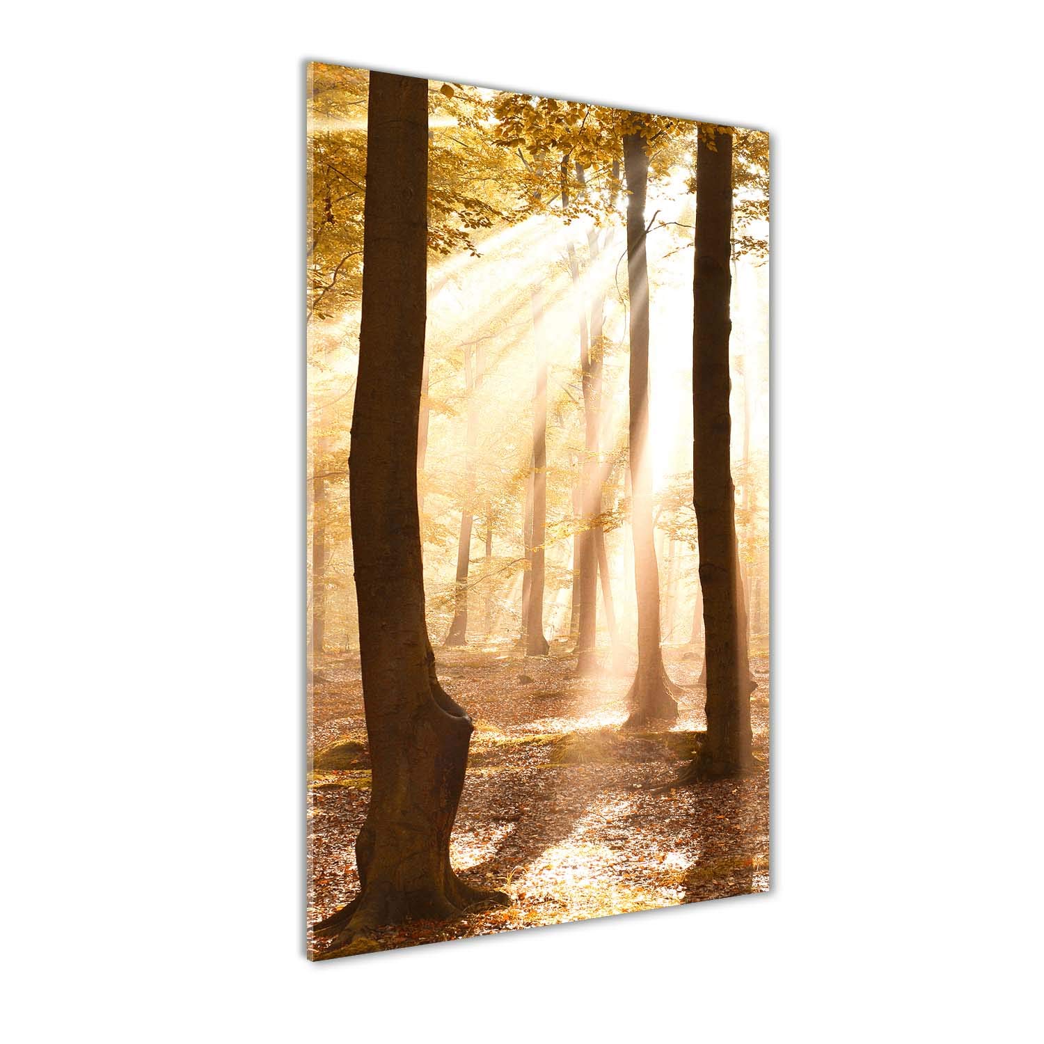 Tableaux pour la mur en verre acrylique Tulup une œuvre d'art haut de gamme 70x140