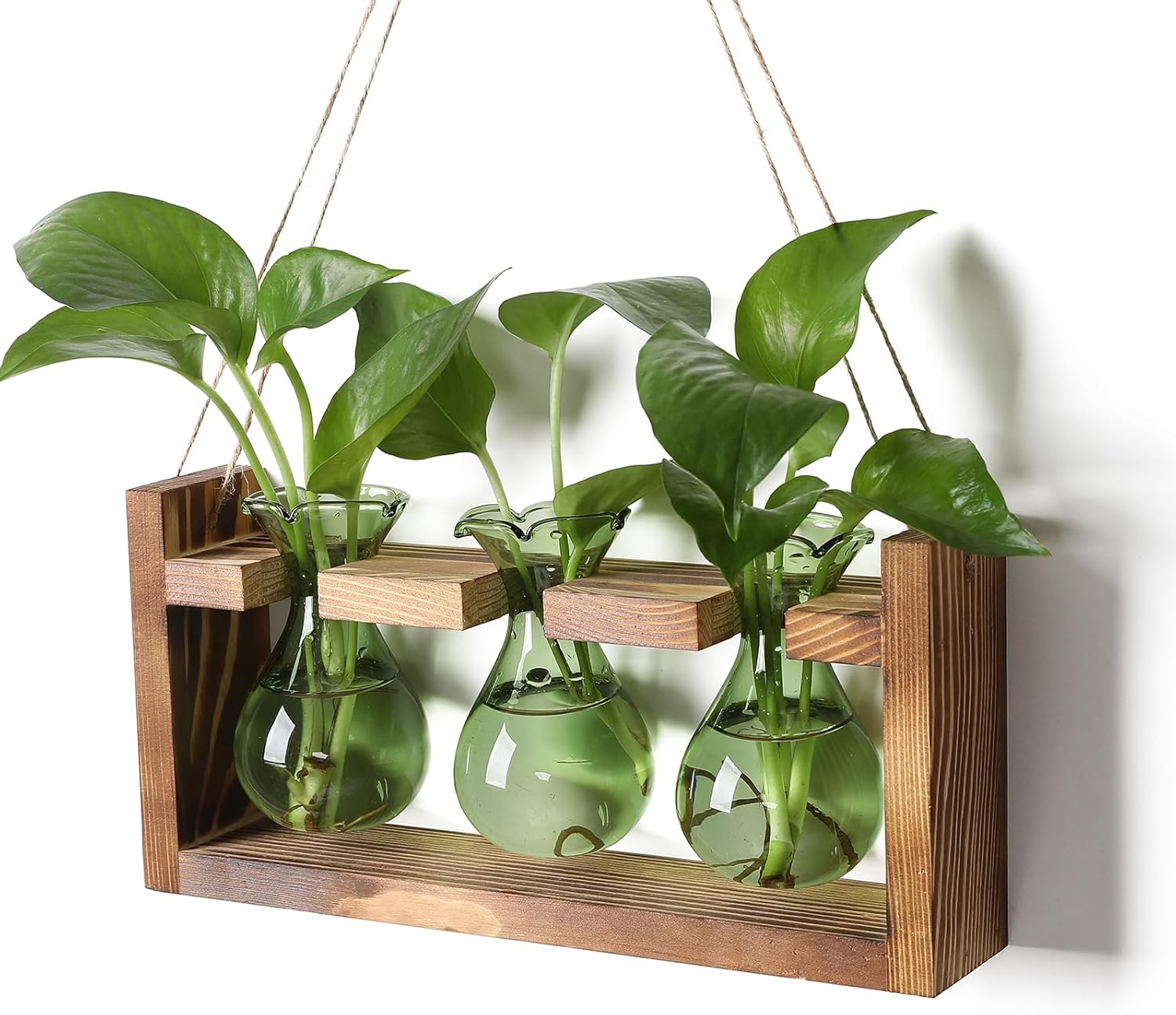 Plant Propagation Station Plant Terrarium Unique Birthday Gifts for Women Home Offi...