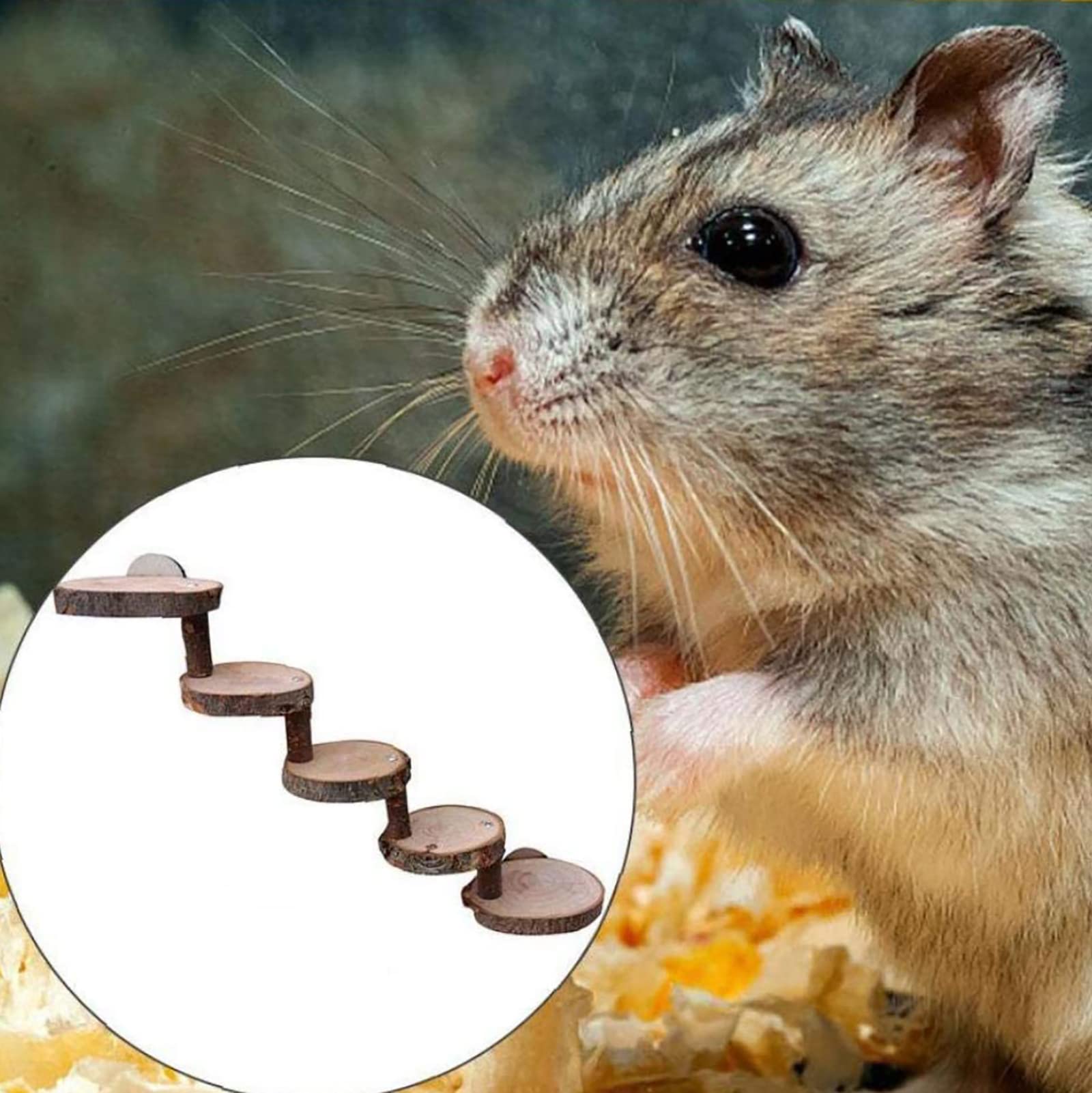 WEKADRIN Hamsterleiter Aus Holz - Kletterspaß Für Kleine Nager