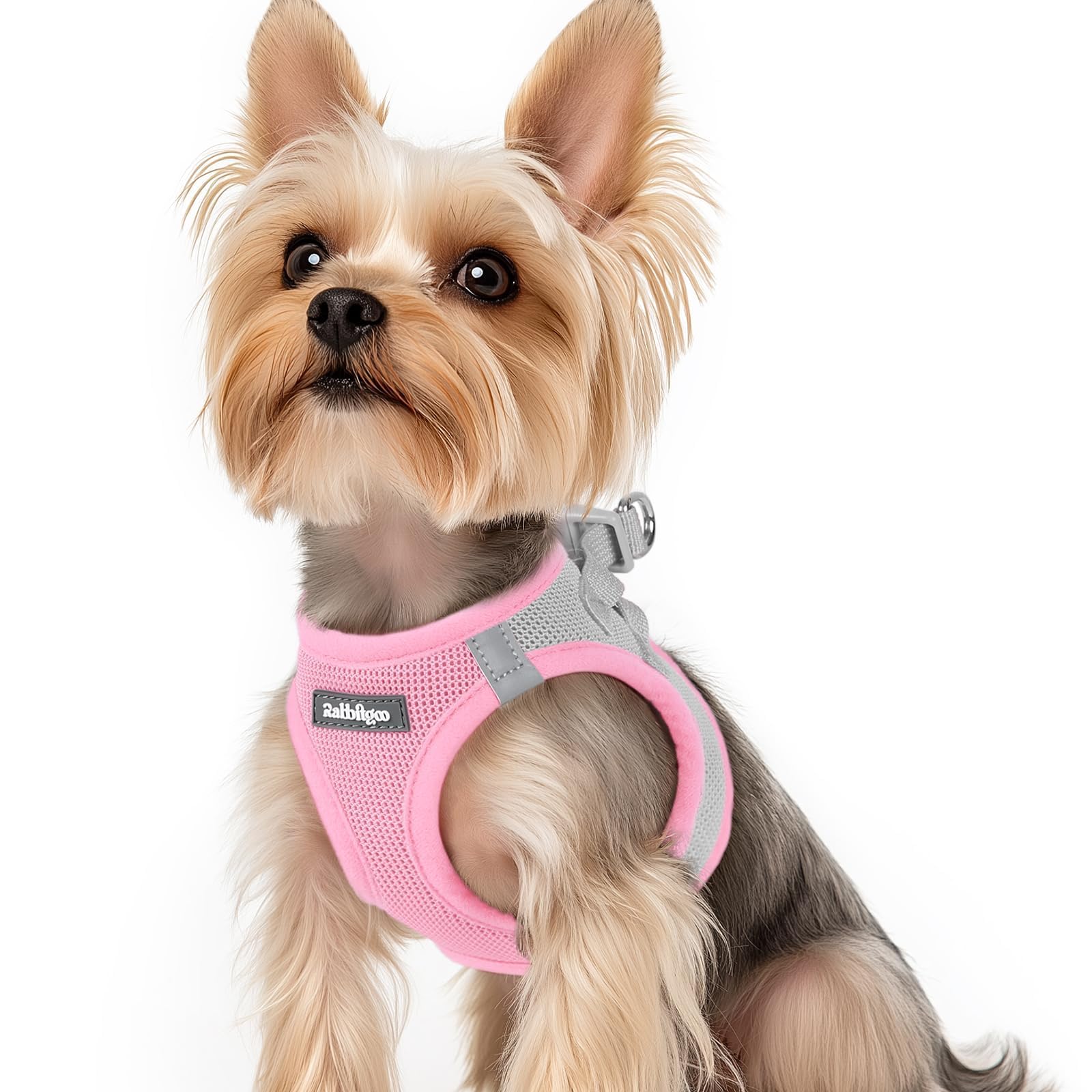 rabbitgoo Dog Harness Small Dog, Step-in Soft Mesh Puppy Harness with Reflective Strips, Lightweight Breathable Pet Vest for Walking Training, Pink & Gray, XS