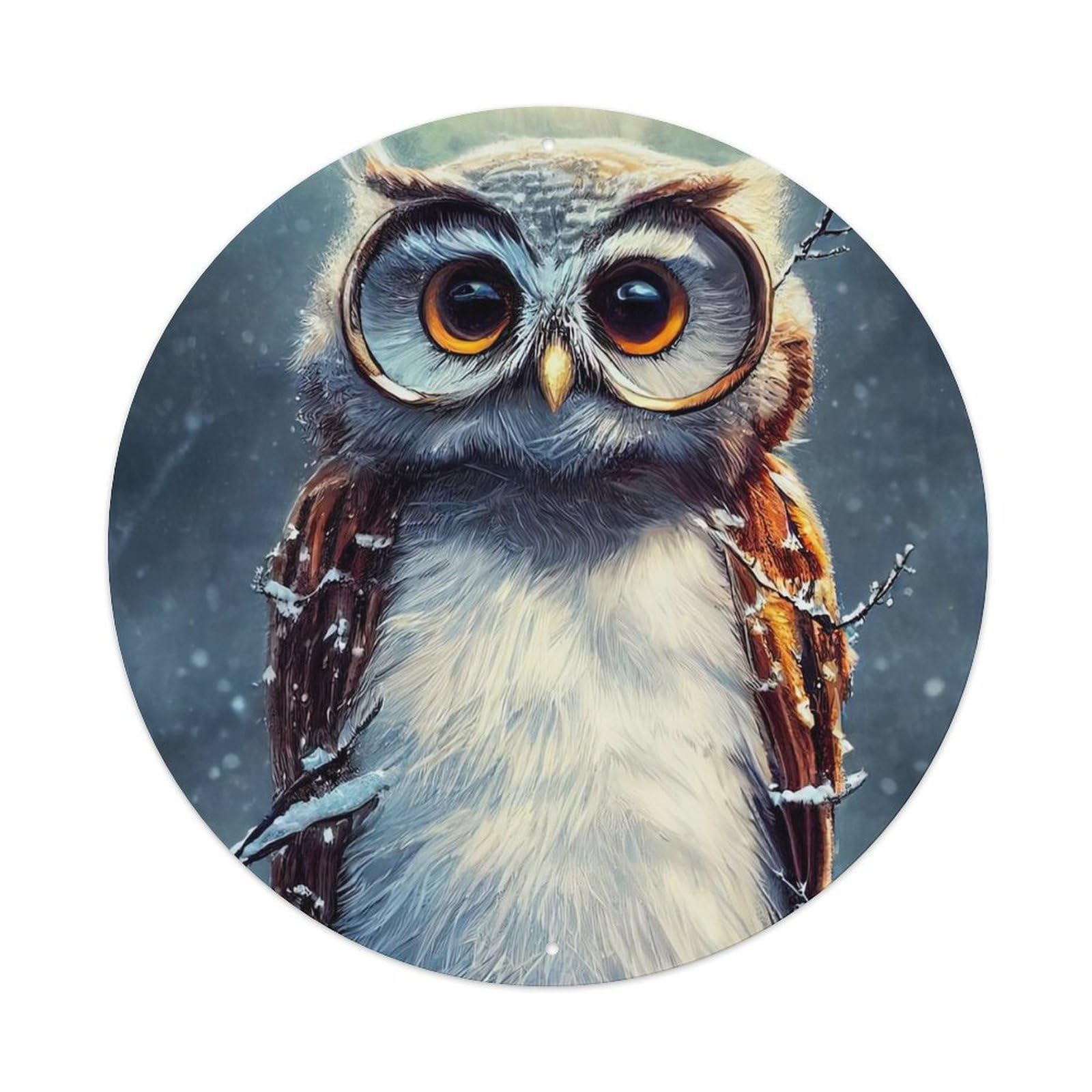 Animal Owl in The Snow Metal Tin Sign