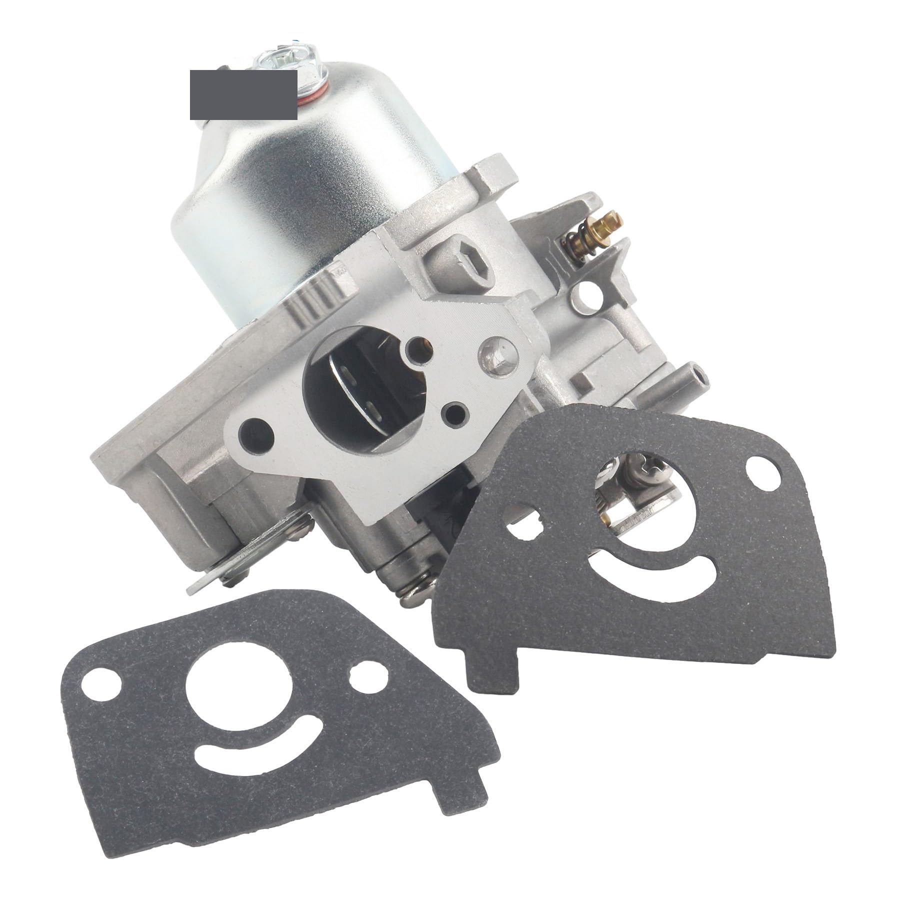 Componenti marini 16100-ZW6-717 Gruppo carburatore con guarnizione per motore fuoribordo Honda 4 tempi BF 2,3 HP 16100-ZW6-716 16100-ZW6-G01