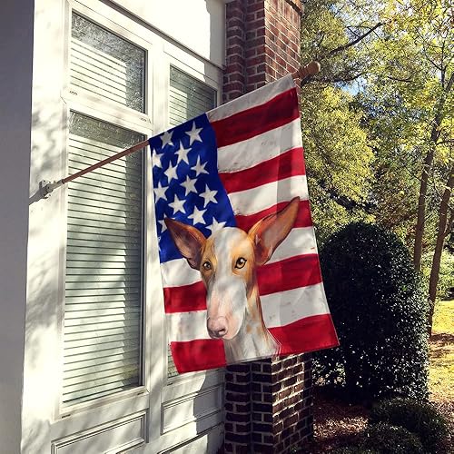 Miniatura 2 de Caroline's Treasures CK6648CHF - Lienzo decorativo con diseño de bandera de Canario de Podenco (tamaño grande), multicolor