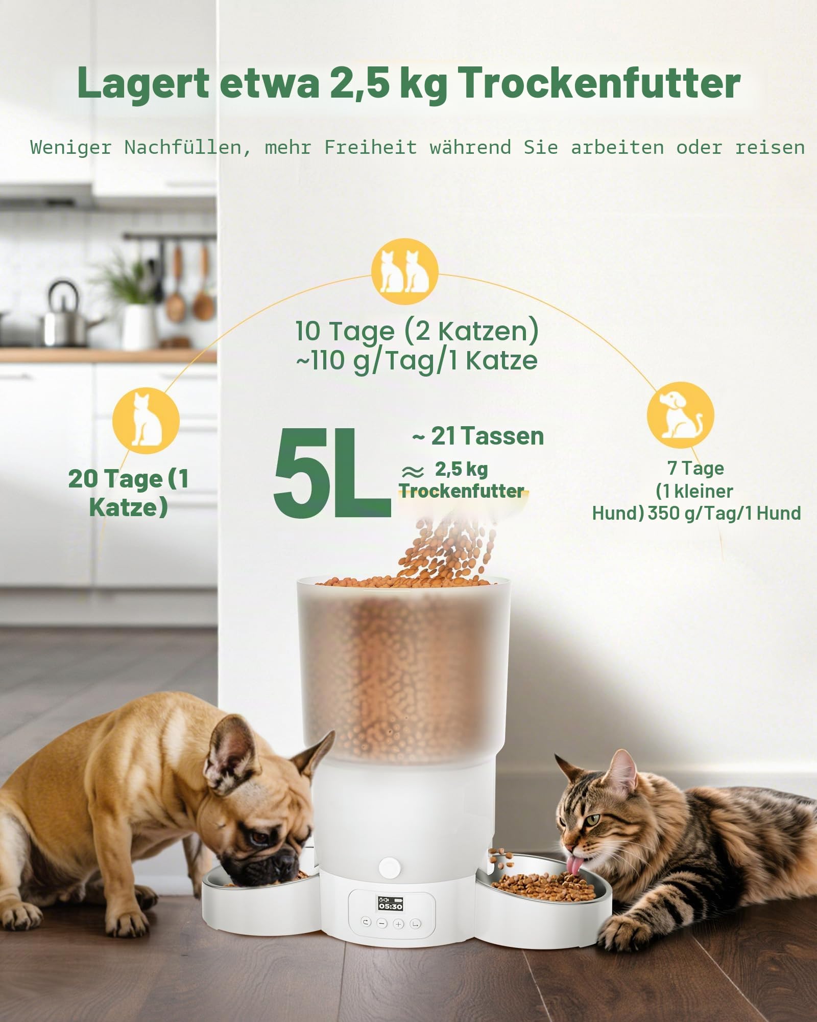 Gimars 5L Futterautomat Katze 2 Näpfe mit LCD-Anzeige Einfache Einrichtung, Programmierbar für 1–6 Mahlzeiten Katzenfutter Automat, Futterautomat Hund, 10 s Sprachruf Automatischer Futterspender Katze