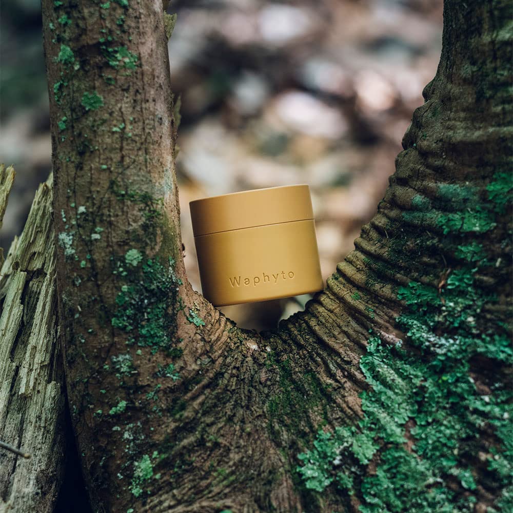 Amazon | 公式 Waphyto ワフィト レジェナ エンリッチドクリーム  