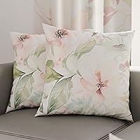 PETTI Artigiani Italiani - Coppia di Federe Cuscino 80x80 cm in Microfibra