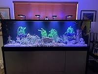 Review Image by Juggalo49er Juggalo49er