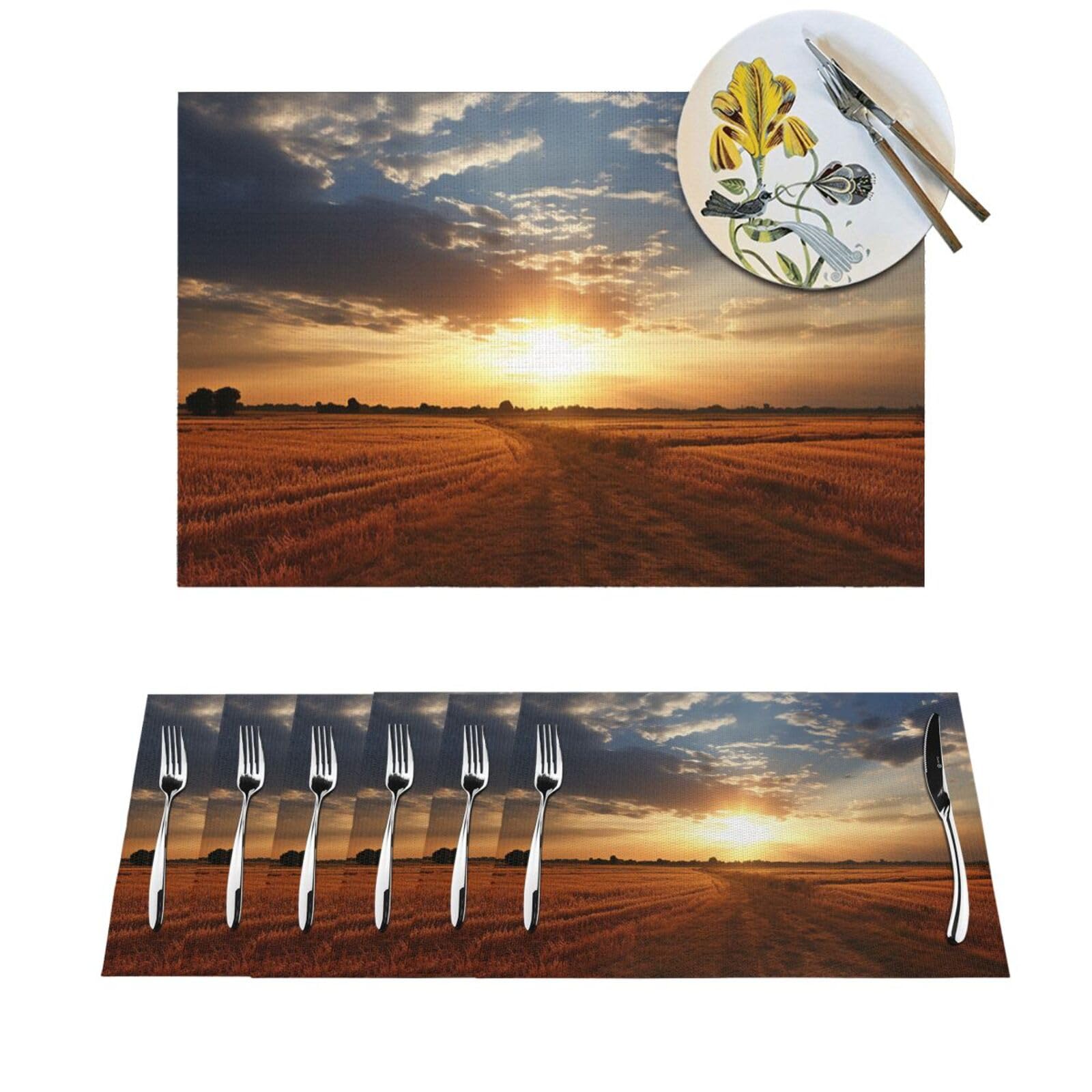 Sets de table résistant à la chaleur PVC antidérapant lot de 4 napperons lavables pour cuisine