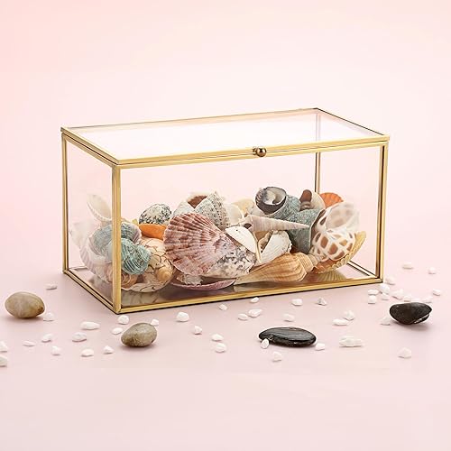 Miniatura 3 de Hipiwe Caja rectangular decorativa de cristal dorado para recuerdos  Mini exhibición de joyas de jardín para tarjetas de boda, baratijas, fotos y
