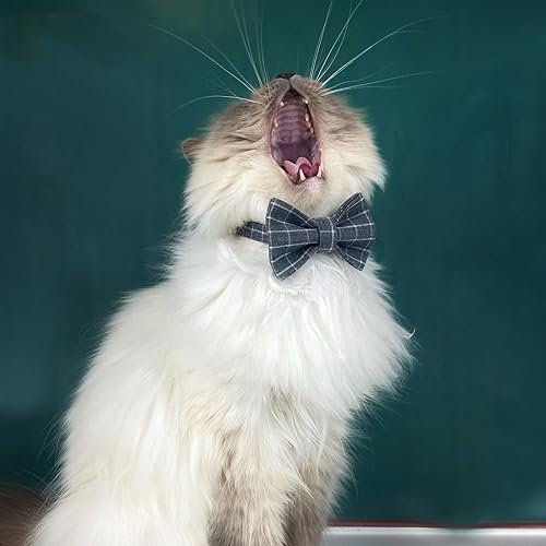 Miniatura 5 de PETDURO Personalized Handmade Plaid Cat Collars with Bell & Name Engraved Metal Buckle Customized for Cute Girl and Boy Cats - Matching Bow Tie