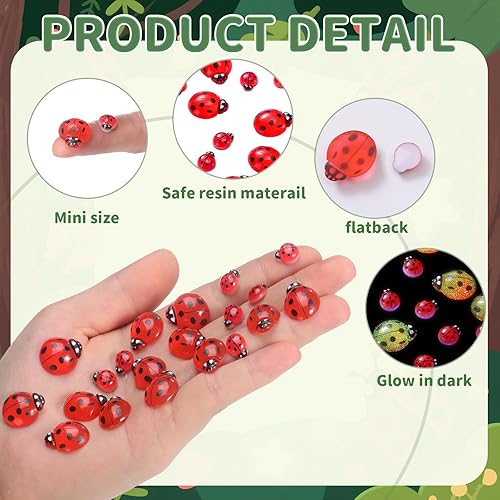 Miniatura 10 de Hicarer 100 piezas de decoración de mariquita de resina con parte trasera plana, mini adornos de epoxi con caja para manualidades, caja de