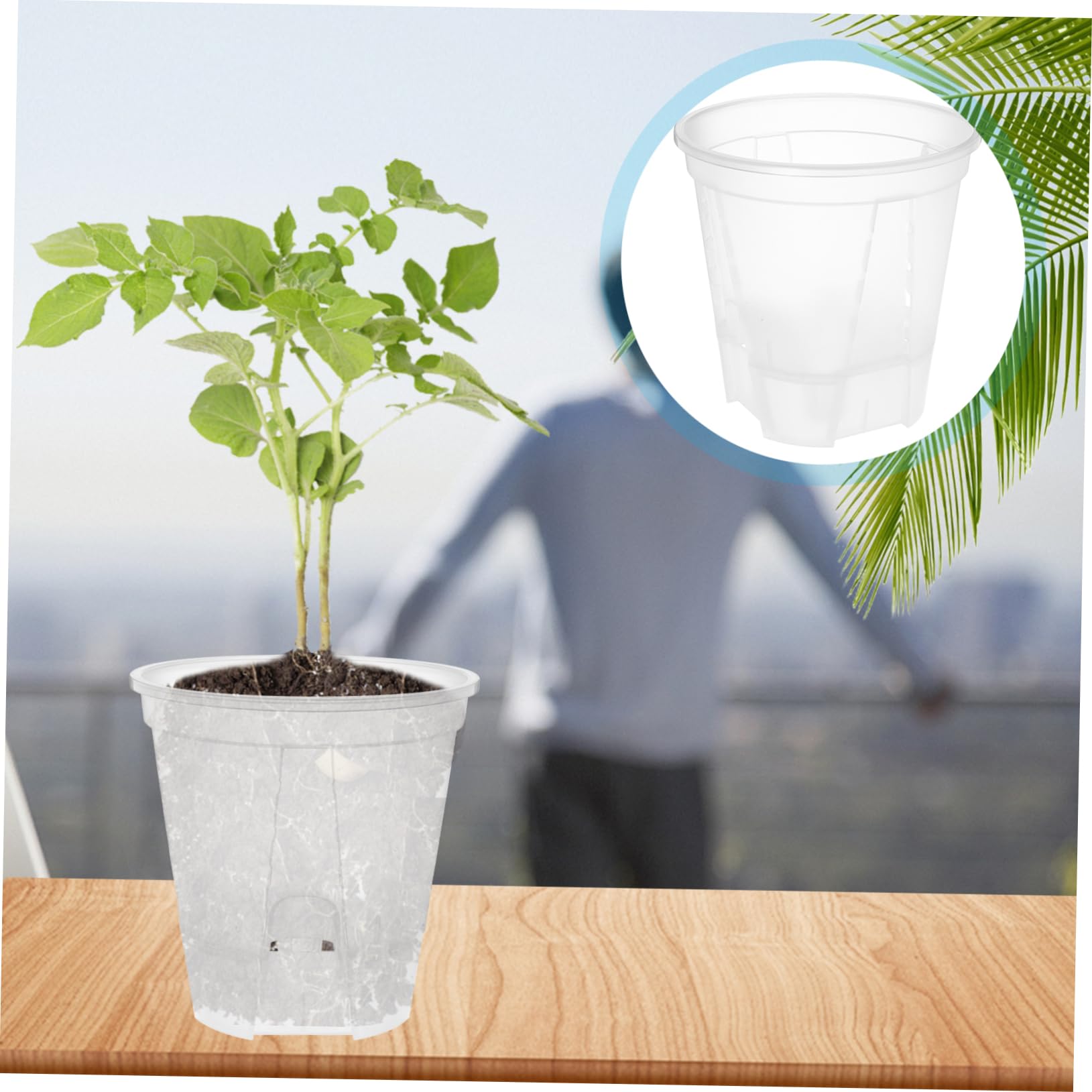 6pièces Pots De Fleurs Transparent avec Drainage Automatique Pots De Plantes pour Intérieur pour Orchidées Et Plantes Intérieur