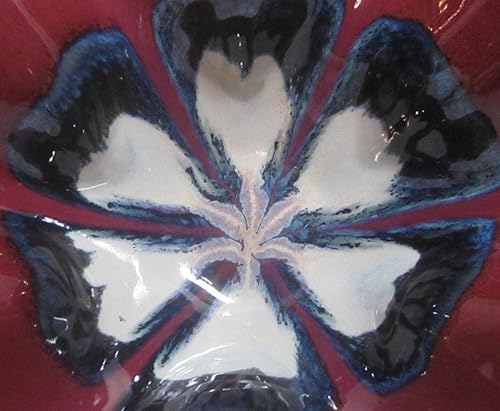 Miniatura 3 de La mejor arcilla de porcelana del mundo  Laguna #550 Porcelana  Cono 10  Translúcido (25 libras)