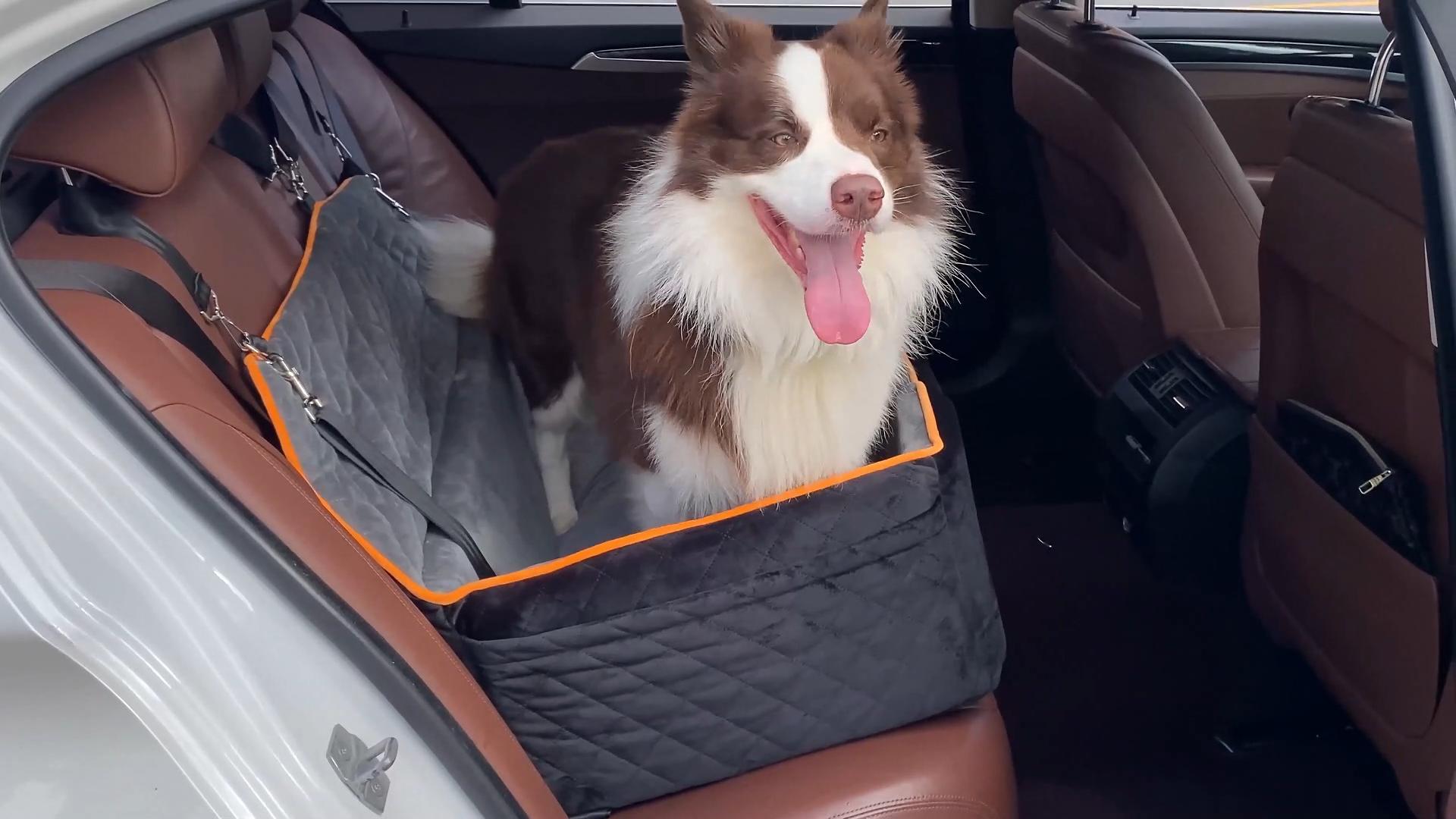 BORKIN Back Seat Extender For Dogs - Hard Bottom Dog Car Seat Cover With AC Mesh Vent, Waterproof & Foldable