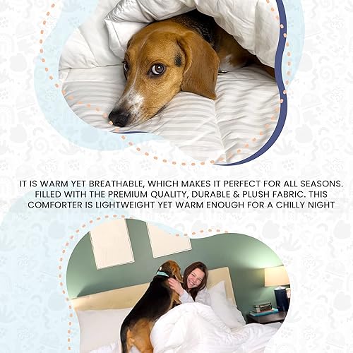 Miniatura 8 de Continental Bedding Affinity - Edredón de tamaño matrimonial acolchado para todas las estaciones, relleno de edredón alternativo con pestañas en las