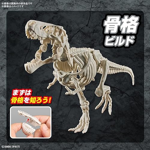 Miniatura 4 de Bandai Hobby - Plannosaurus - #01 Tyrannosaurus, Bandai Spirits Dinosaur Model Kit