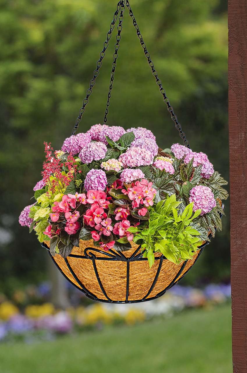 GARDEN KING 14 INCH Heart Design Coir Hanging Planter Basket with Metal Chain and Coco Liner, Coir Hanging Flower Plant Container, PLANTERS and POTS for Indoor and Outdoor Garden (Set of 1 PC) (B07T3KJ6QJ) Amazon Price History, Amazon Price Tracker