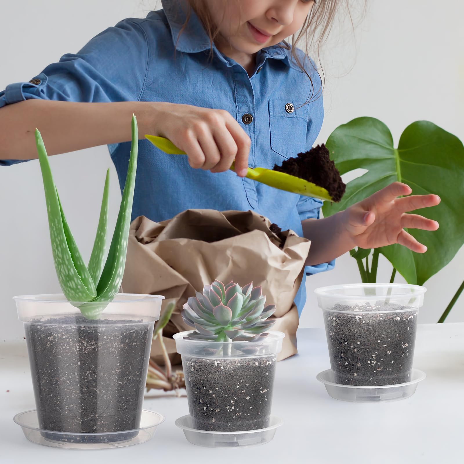 GREANER Lot de 24 pots de fleurs transparents de 15,2 / 20,4 / 25,4 cm - En plastique transparent - Avec ventouses pour plantes - Pour intérieur et extérieur