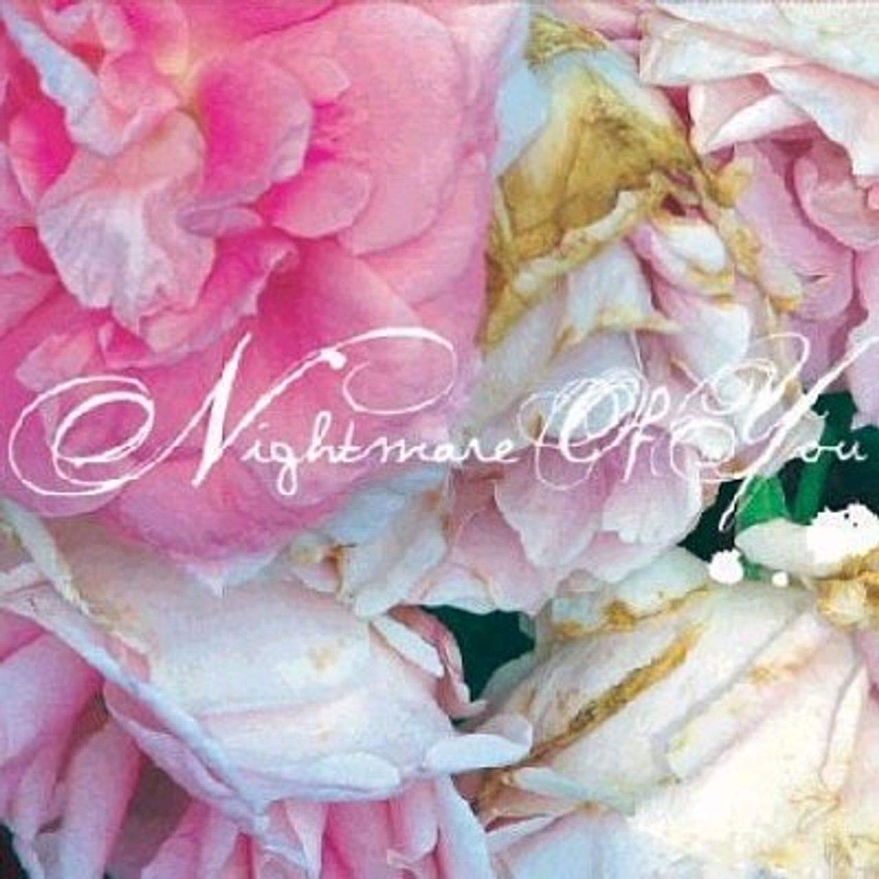 Nightmare of You