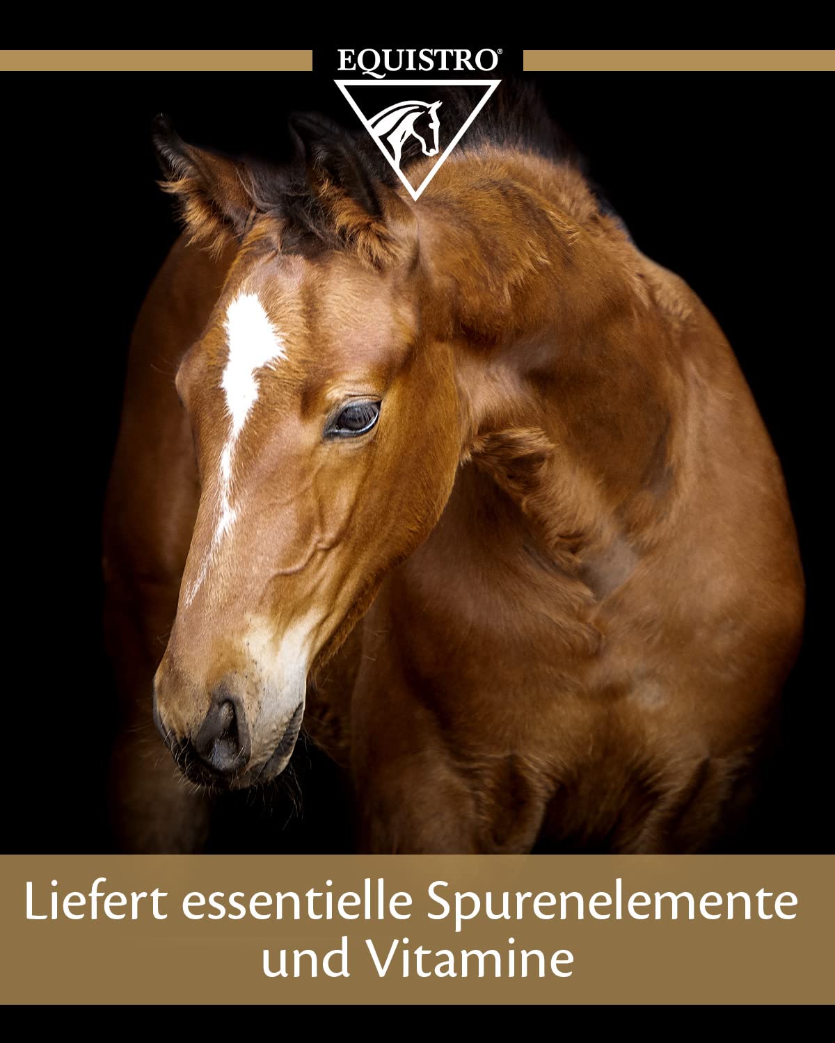 Equistro IPALIGO FOAL - Opakowanie 3 strzykawek