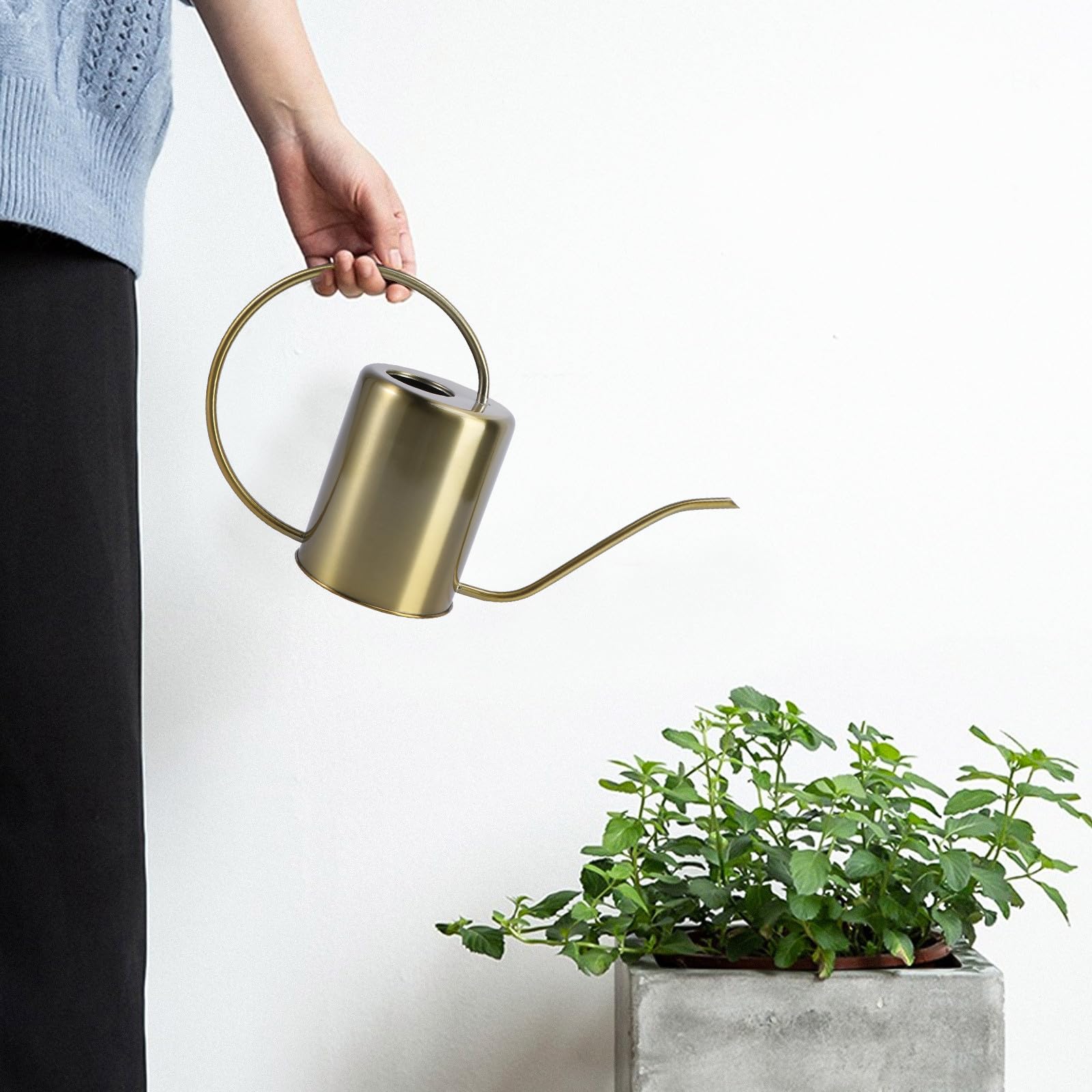 SOIMISS 1stück Langlebige Garten Gießkanne aus Edelstahl mit Langem Ausguss Rostfrei Wiederverwendbar Dicker Stabiler Aufbau Klassisches Design für Zimmer Außengarten Bewässerung
