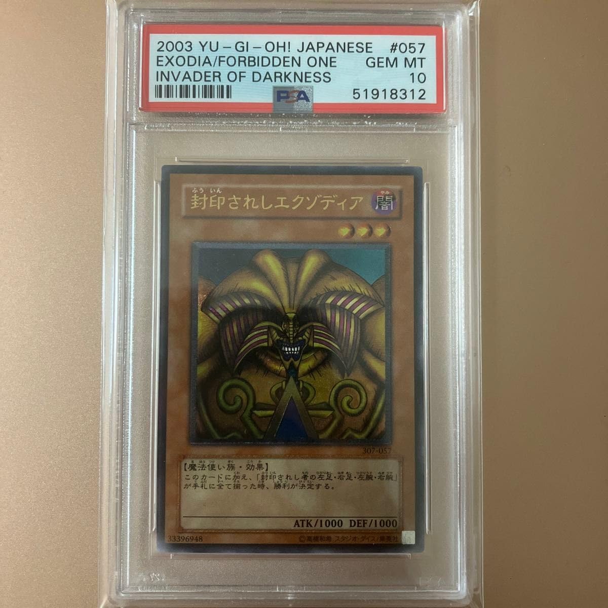 エグゾディアレリーフPSA10