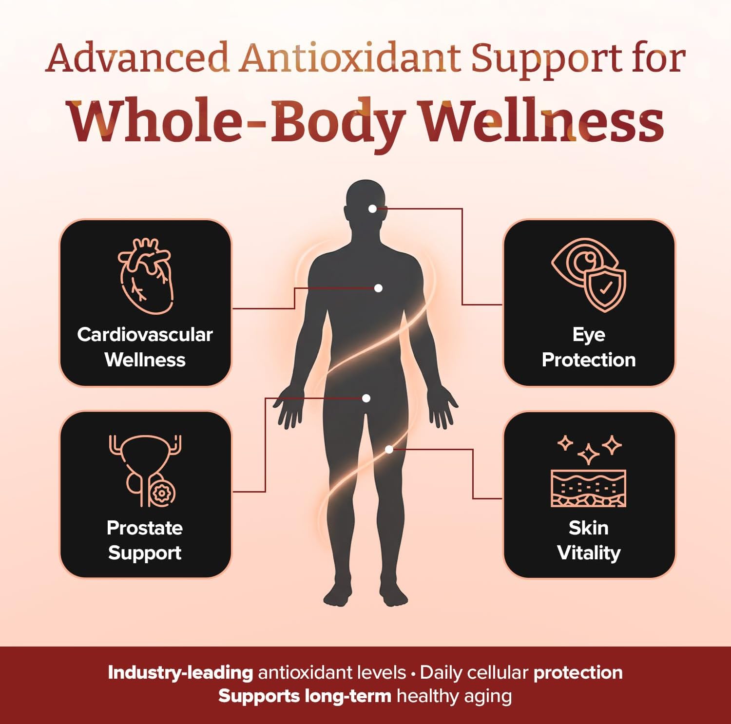 pureclinica Lycopene 50mg x 180 Tablets (6 Months Supply). 300% Strength of Regular Lycopene Tablets - Image 6