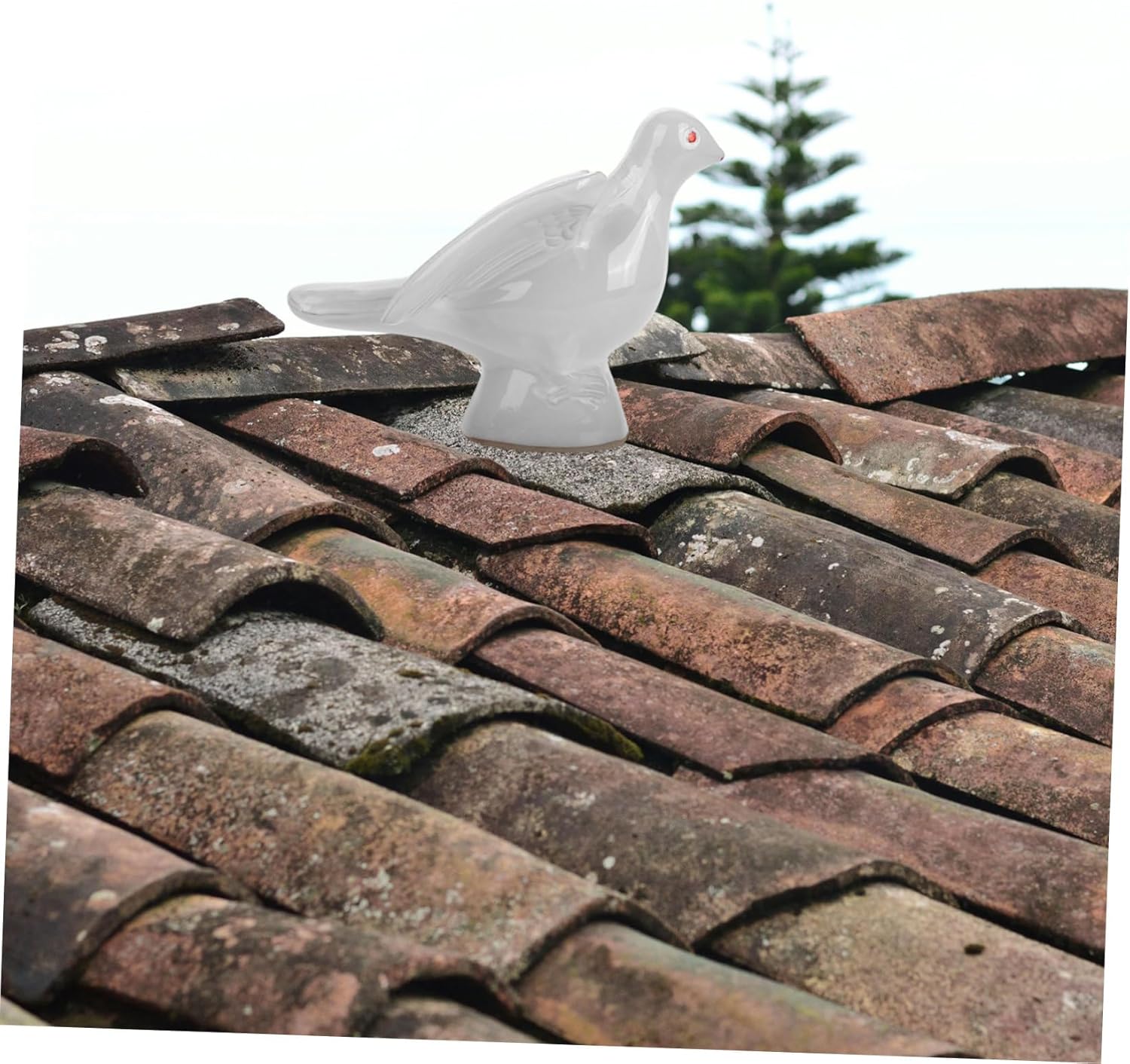 Ceramic Sculpture Glazed Pigeon Figurine for Decor Symbol of Peace and Happiness Sturdy and Versatile Desktop Ornament