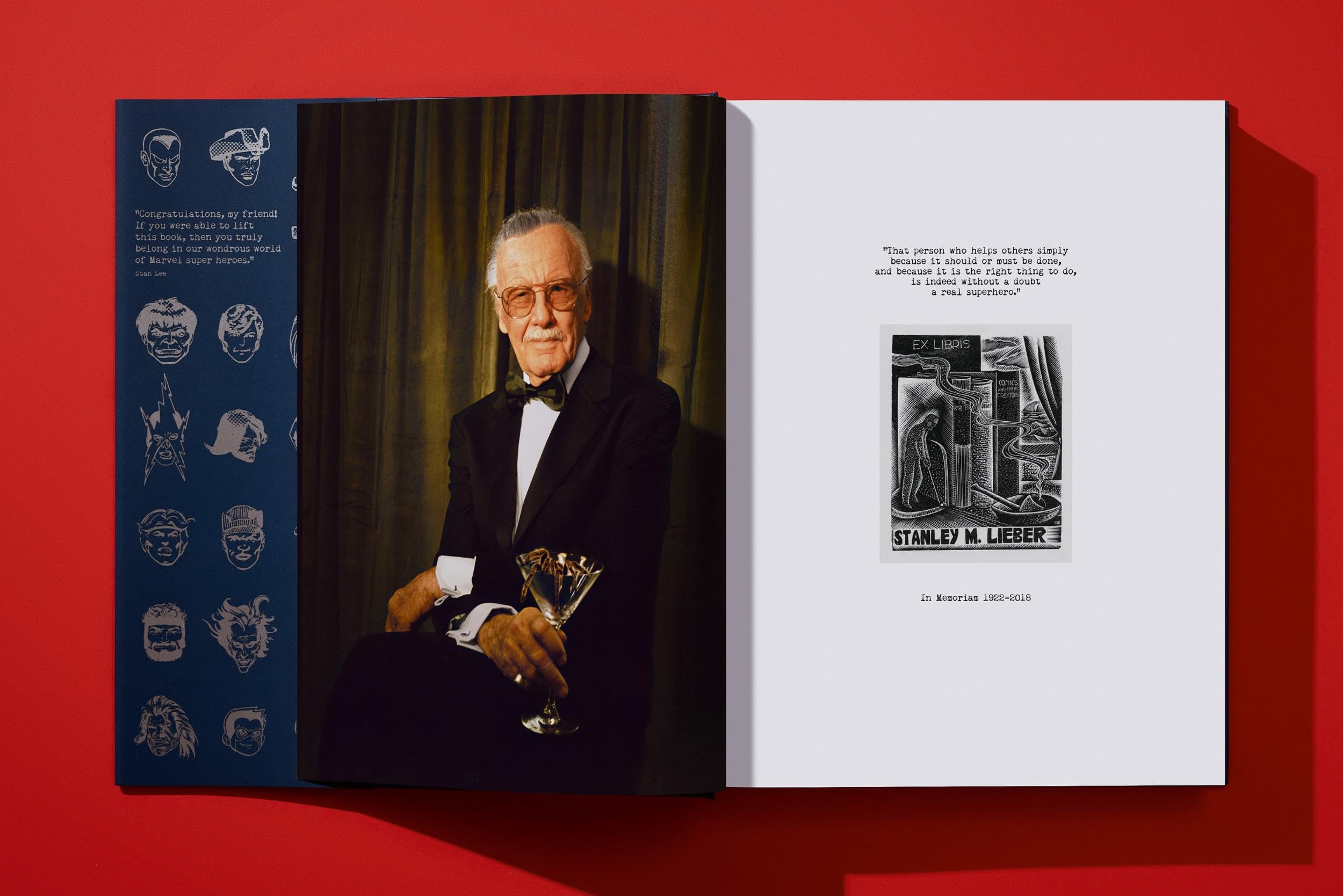 The Stan Lee Story (Fantastic Price)