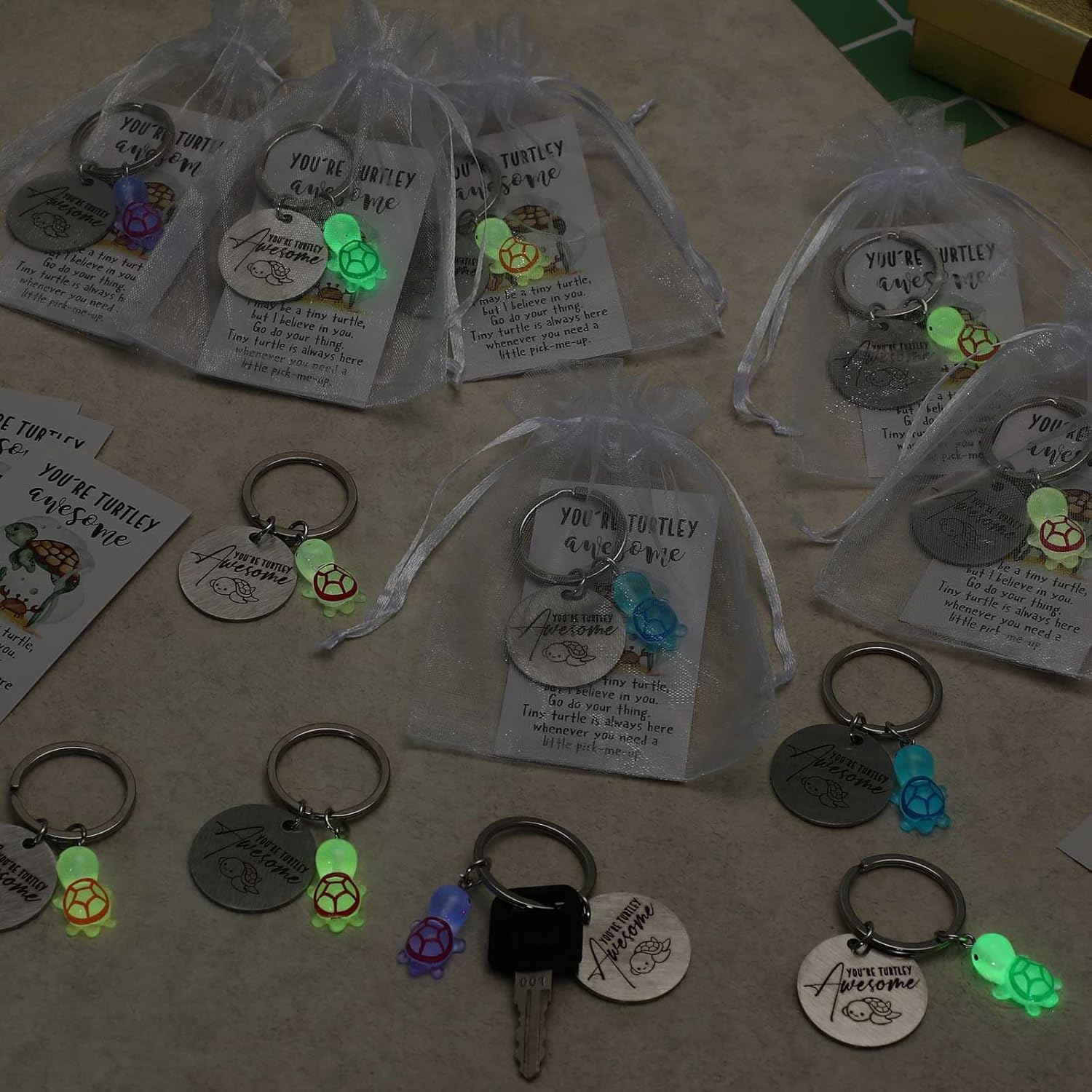 Positive Turtle Keychain Emotional Support Employee Appreciation Gift for Coworker Volunteer Team Staff - Image 5