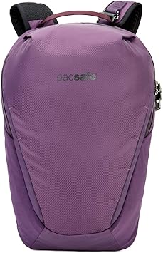 pacsafe venturesafe x