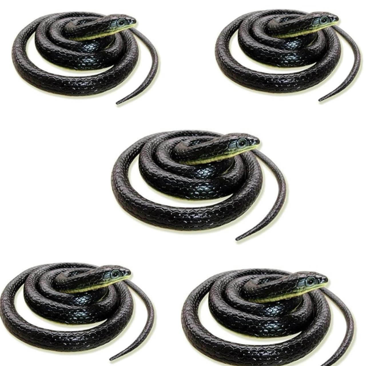 TOYSFAST® (5 Pcs Set) Fake Snake for Prank Toy Enjoying Rubber Black Colour 28 inches Snake Toy (A120) (B0DDPWDN2Z) Amazon Price History, Amazon Price Tracker