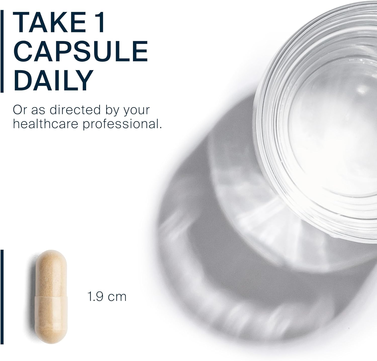 Vital Nutrients Black Cohosh Extract 250mg- Vegan Supplement for Women’s Menopause, Hormonal Balance and PMS Support* - Gluten, Dairy and Soy Free - Non-GMO - 60 Capsules