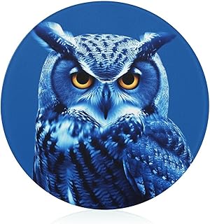 Blue Owl Tempered Glass Cutting Board Large Butcher Block Sturdy Food Chopping Block Round Scratch Resistant Chopping Boards for Kitchen Camping 7.9 Inch