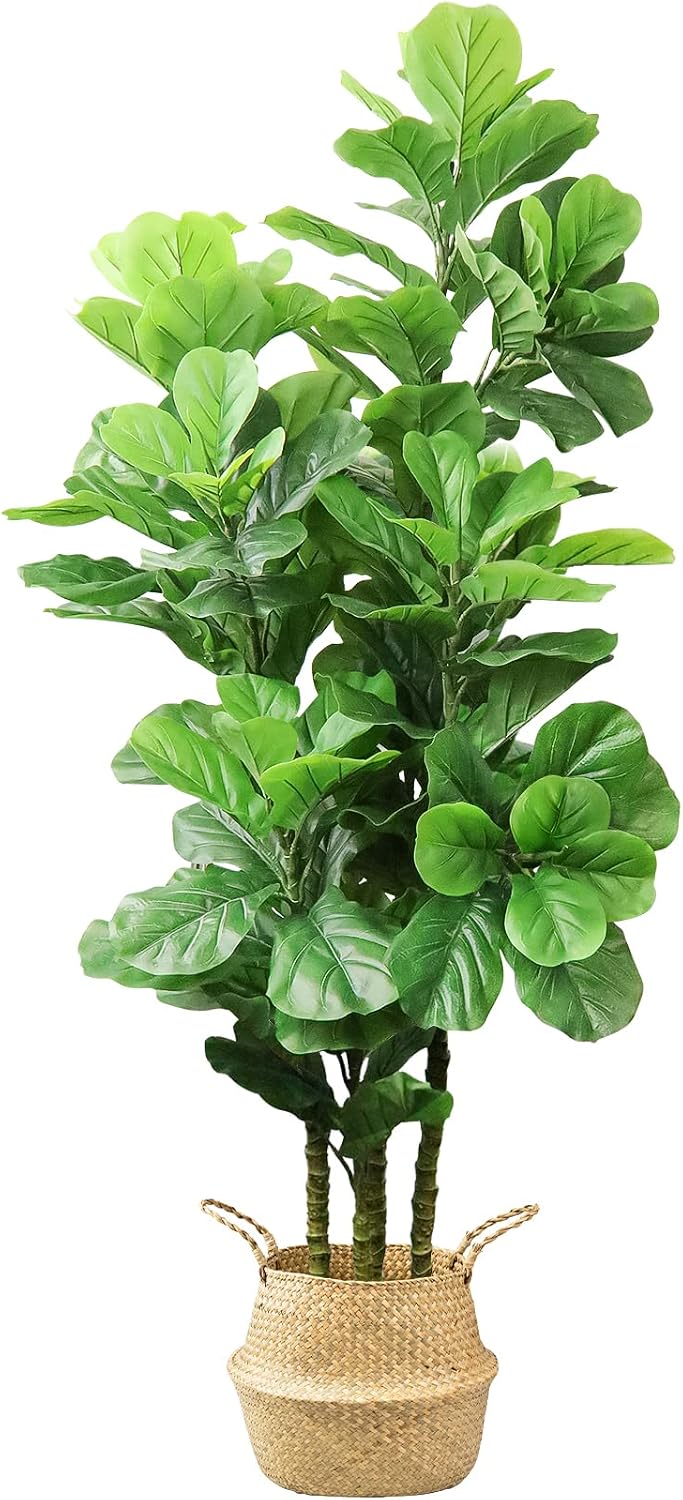 6Ft Artificial Fiddle Leaf Fig Tree with Woven Seagrass Basket and Realistic Moss Tall Fake Plants Large Faux Tree Indoor Outdoor for Home Decor Office Living Room-71 Inch