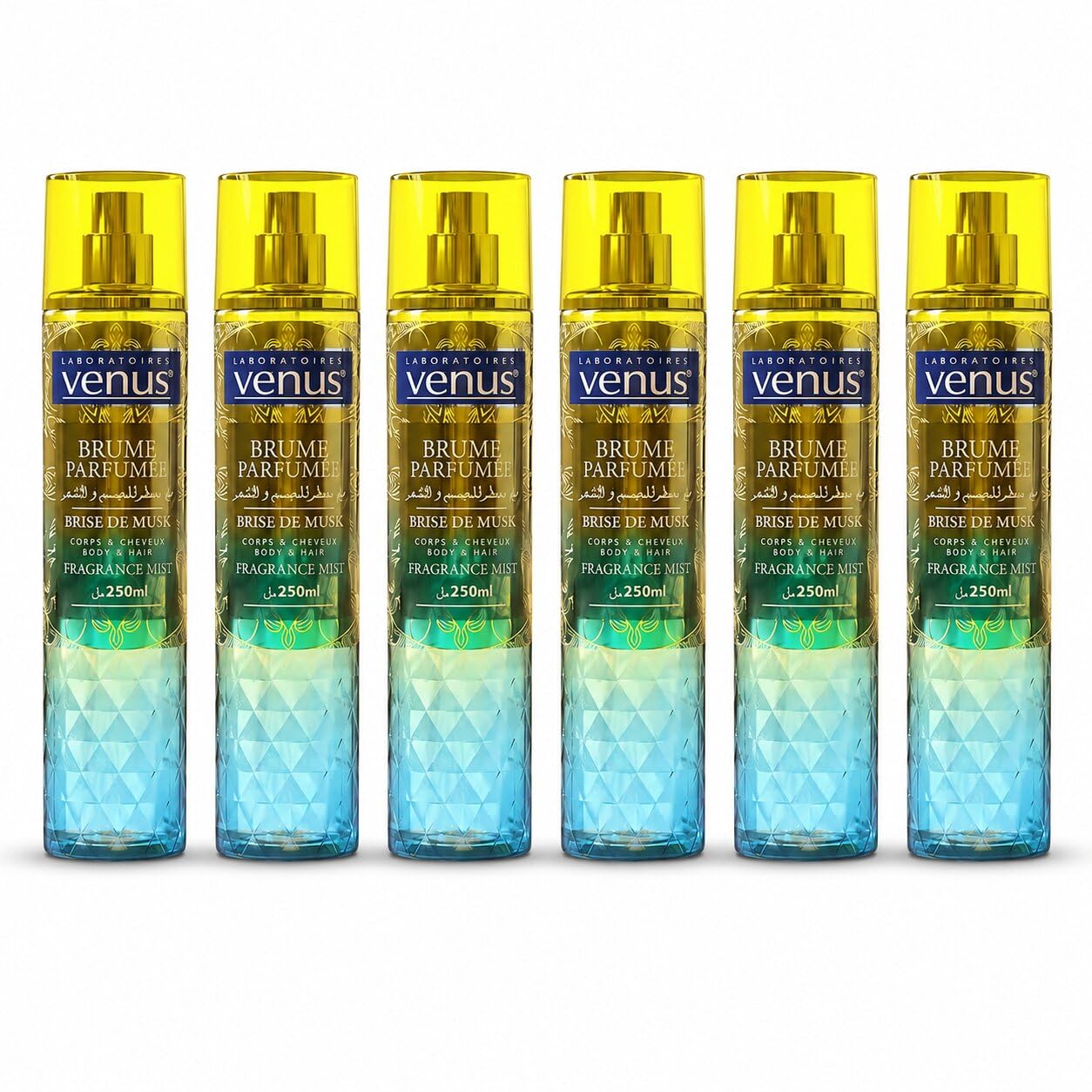Venus Brume Parfumée Brise de Musk 250ml – Pack de 6 Bouteilles – Brume Corporelle Femme, Parfum Léger Musqué pour Corps et Routine Beauté
