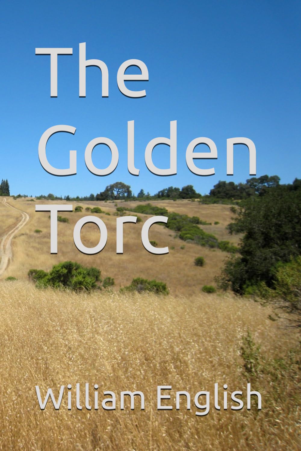 The Golden Torc: 1 (UK Key Stage Two History Curriculum Support)