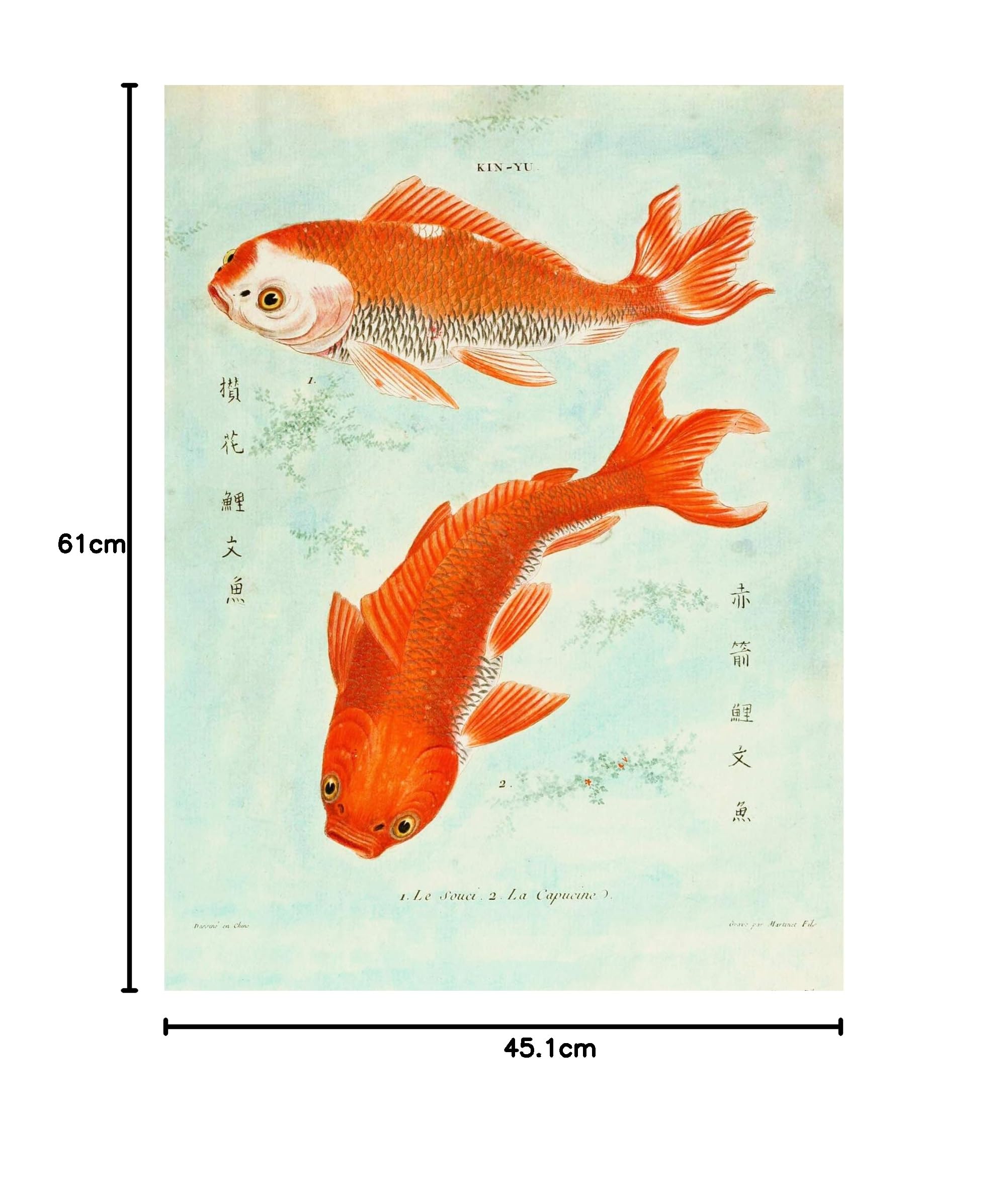 サァラ麻布 Paragon Picture Zarris 鯉の絵 額 6.6万 Amazon.co.jp: Fish Japanese Koi Art Print Poster Wall Decor Fish