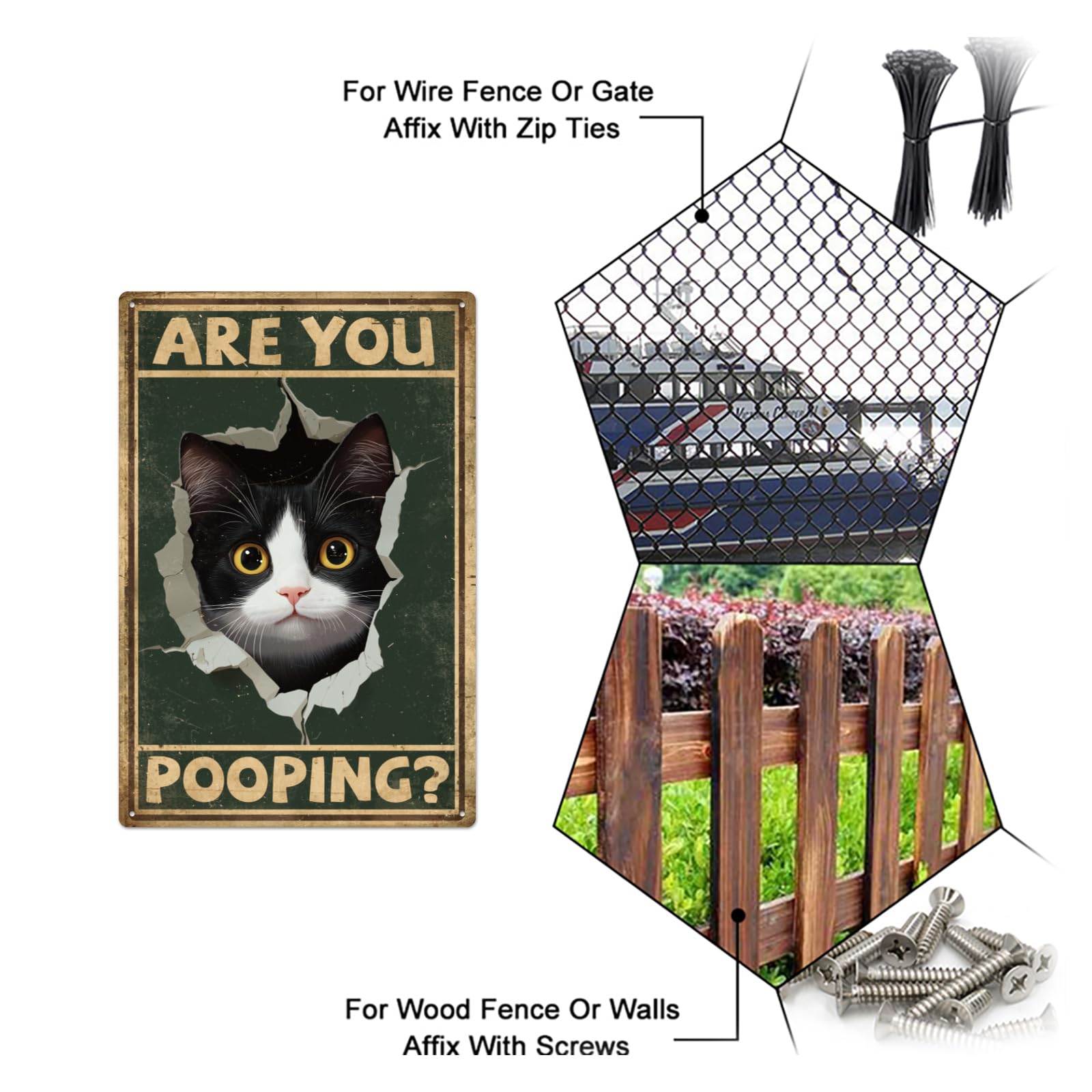 GLOBLELAND Hole Cat Metal Tin Sign 8x12in Vintage "Are You Pooping" Painting Tin Signs Wall Poster Plaque for Bathroom Cat Lover's Room Living Room Office - Image 4