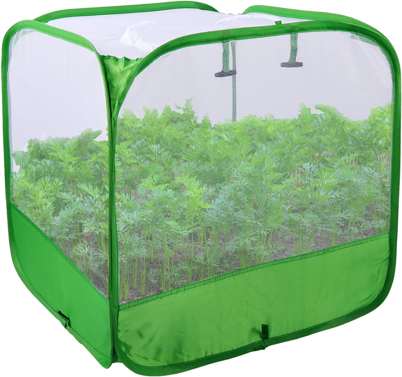 Mesh Plant Cover for Outdoor, Plant Netting Protector Garden Enclosure Cloche for Fruit, Vegetables, Strawberry, Flowers and Herbs Pop-Up Cage with 4 Stakes (White with Green, 39.4" x 39.4" x 19.7")