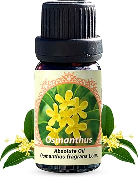 Osmanthus Absolute Oil Osmanthus fragrans Lour. 0.33 FL OZ / 10ml | 100% Pure Therapeutic Grade Undiluted Natural