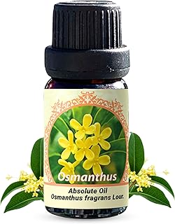Osmanthus Absolute Oil (Osmanthus fragrans Lour.) 0.33 FL OZ / 10ml | 100% Pure Therapeutic Grade (Undiluted Natural)