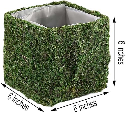 Miniatura 3 de Efavormart - Paquete de 4 macetas cuadradas preservadas de musgo cubiertas de musgo con forro interior, 6 x 6 pulgadas