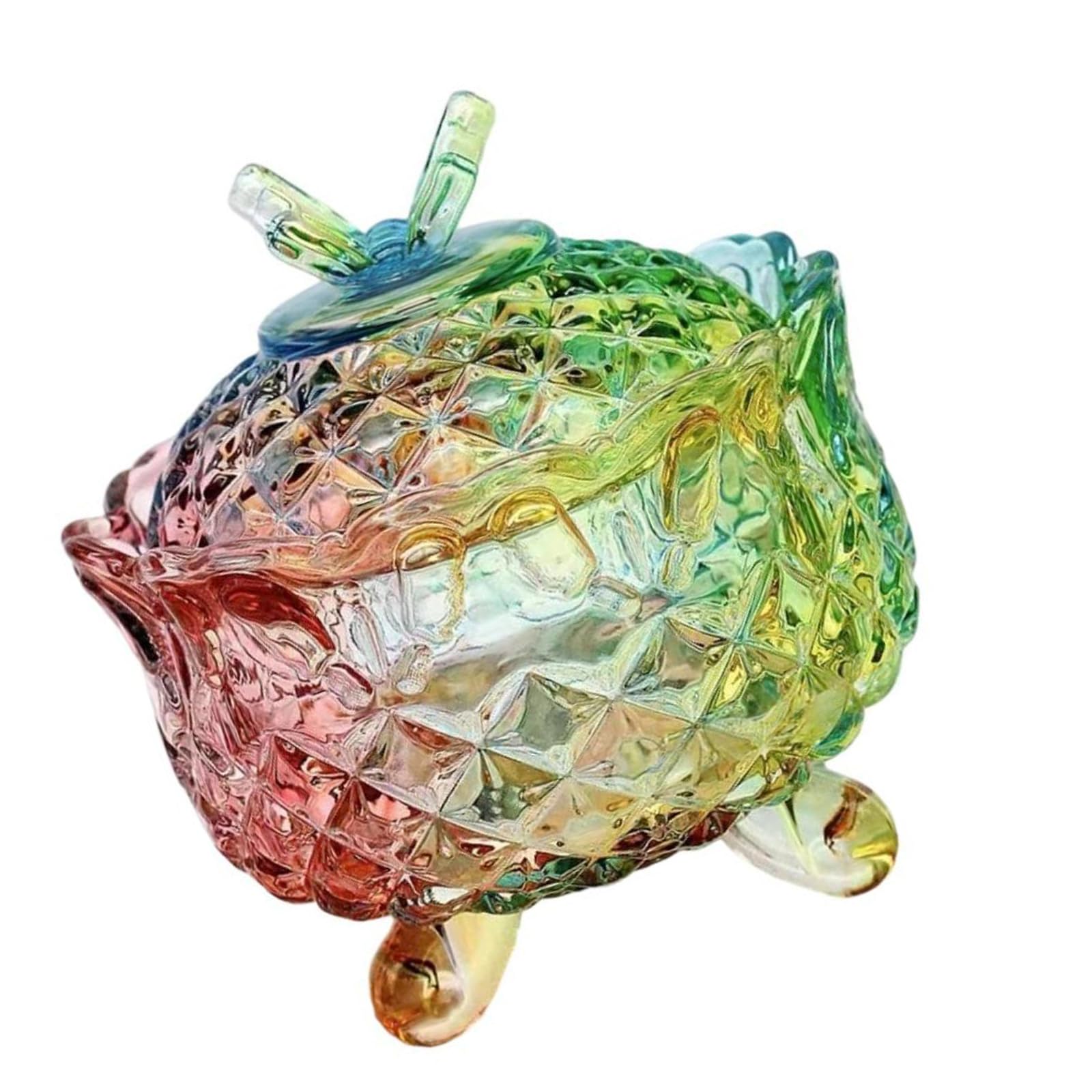 Qusinfc Food Safe Handcraft Glass Jar Vibranting Artistics Pattern Portable for Home Organization Display Painted Glass Jar