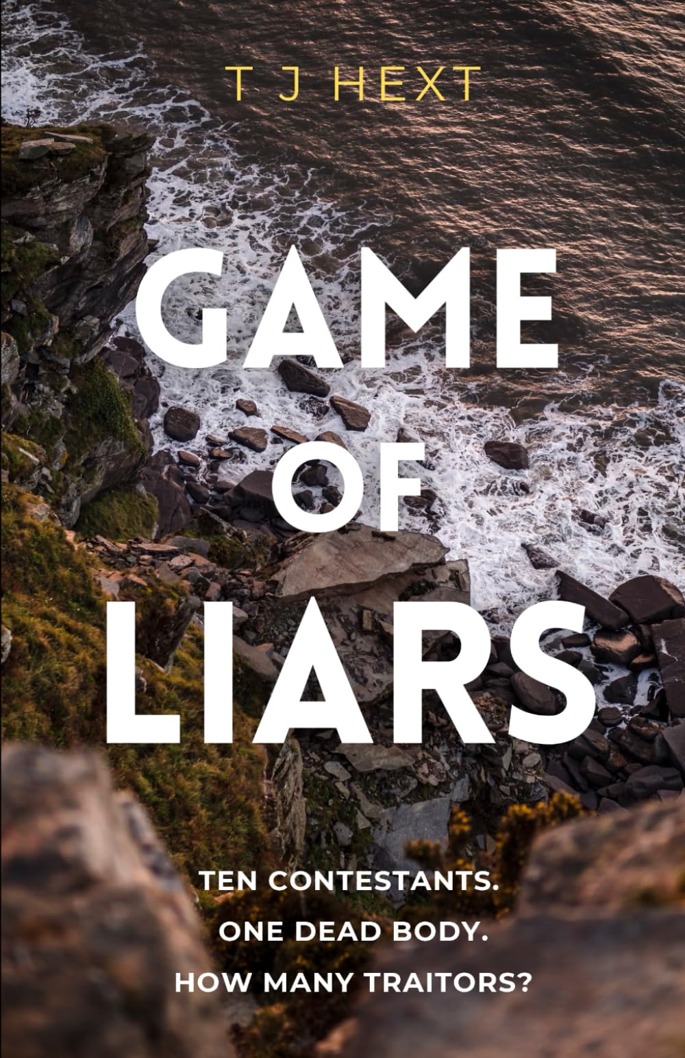 Game of Liars: A gripping, twisty thriller set in a deadly reality TV show