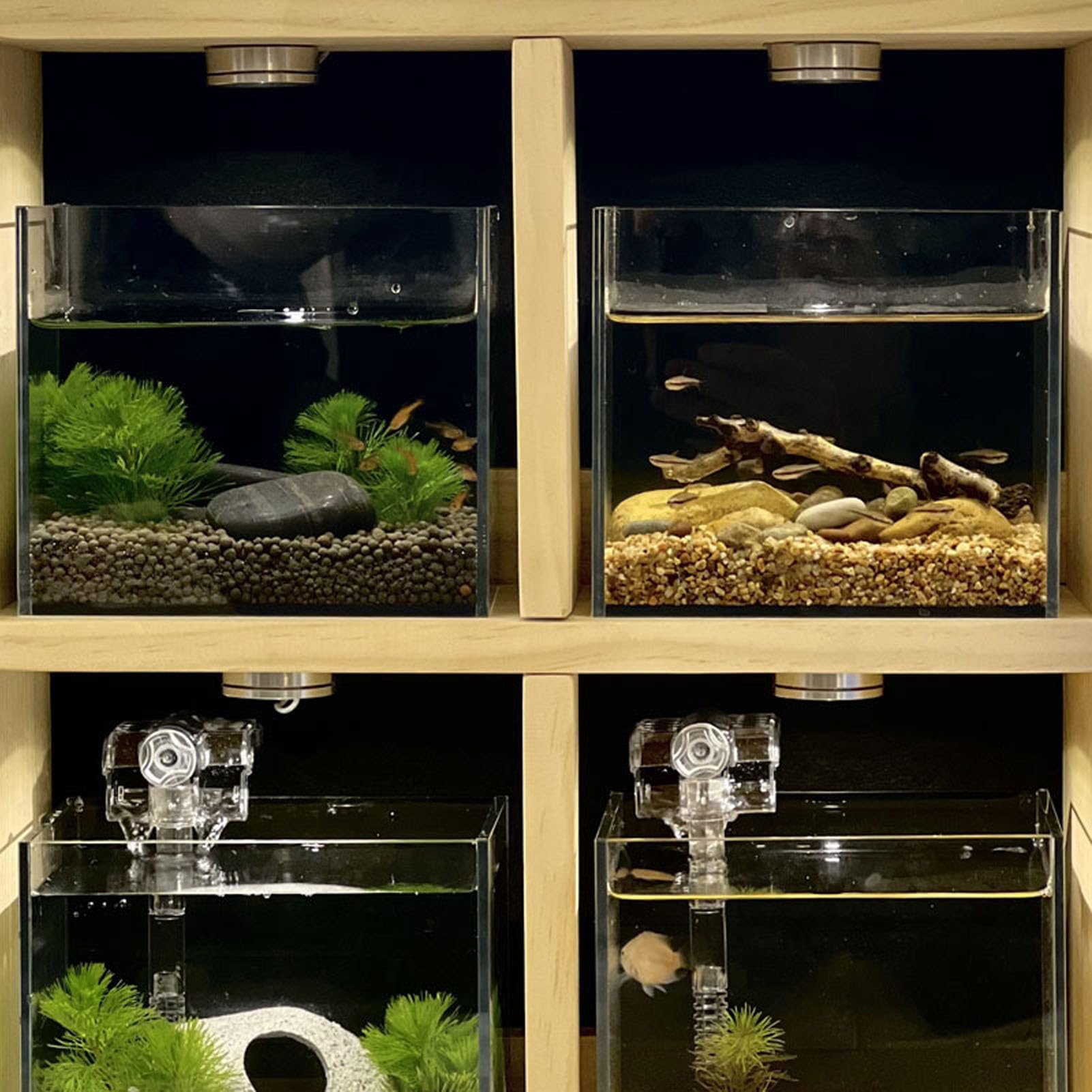 OPPWONG Small Led Light, 2pcs USB Plug 5V 1W Mini Spotlight USB Mobile Small Round Light with 4.2ft Cable for Display Cabinets, Jewelry Cabinets, Cupboards (Warm Light)