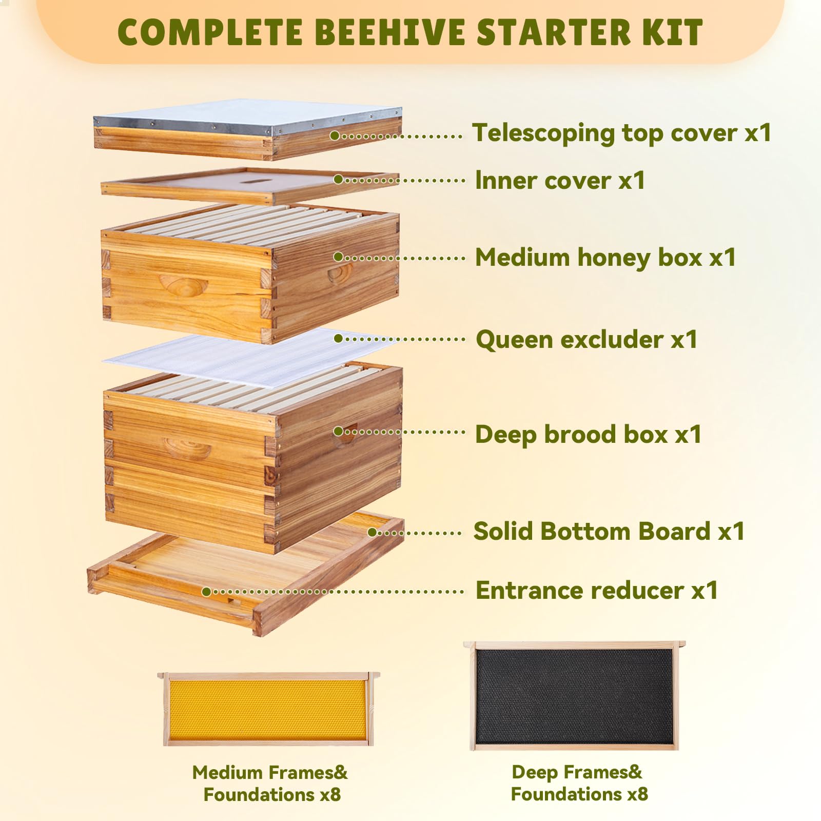 Kit Completo de Colmena de Abeja de 8 Marcos con Revestimiento de Cera de Abeja, Incluye Marcos y Hoja de Base para Todos los Niveles de Apicultura (1 Caja Profunda y 1 Mediana de Abeja)